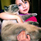 Всемирный день петербургских кошек и котов